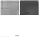 Fig. 05 - PLACENTA DERIVED ADHERENT CELLS FOR IMPROVED XENOPLANTATION