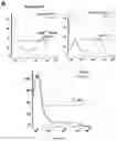 Fig. 05 - BIFUNCTIONAL VECTORS ALLOWING BCL11A SILENCING AND EXPRESSION OF AN ANTI-SICKLING HBB AND USES THEREOF FOR GENE THERAPY OF B-HEMOGLOBINOPATHIES