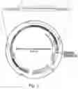 Fig. 04 - Engineered parasites for delivering protein to the central nervous system (CNS)