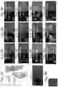 Fig. 11 - Engineered parasites for delivering protein to the central nervous system (CNS)