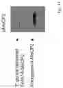 Fig. 16 - Engineered parasites for delivering protein to the central nervous system (CNS)