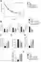 Fig. 01 - USE OF BACILLUS AMYLOLIQUEFACIENS AND/OR BACILLUS SUBTILIS FOR THE ENHANCEMENT OF ACTIVE PROBIOTIC COMPOSITIONS OR FOR THE ACTIVATION OF INACTIVE PROBIOTIC COMPOSITIONS, COMPOSITIONS THUS OBTAINED, AND RELATED METHOD