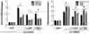 Fig. 01 - COMPOSITION FOR PREVENTING, ALLEVIATING, OR TREATING OBESITY OR FATTY LIVER DISEASE, COMPRISING WEISSELLA HELLENICA WIKIM0103