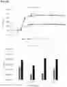 Fig. 16 - PROBIOTIC BACTERIA CAPABLE OF ADAPTIVE RESPONSE TO POMEGRANATE EXTRACT AND METHODS OF PRODUCTION AND USE THEREOF