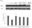 Fig. 06 - METHOD FOR PRODUCING SPIRULINA EXTRACT, AND SPIRULINA EXTRACT-CONTAINING PHARMACEUTICAL COMPOSITION AND HEALTH FUNCTIONAL FOOD FOR IMPROVING COGNITIVE ABILITY