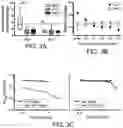 Fig. 05 - Methods for treating microbial infections using caudovirales bacteriophages