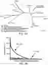 Fig. 06 - Methods for treating microbial infections using caudovirales bacteriophages