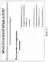 Fig. 13 - Methods for treating microbial infections using caudovirales bacteriophages