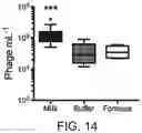 Fig. 16 - Methods for treating microbial infections using caudovirales bacteriophages
