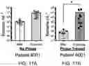 Fig. 19 - Methods for treating microbial infections using caudovirales bacteriophages