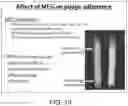 Fig. 21 - Methods for treating microbial infections using caudovirales bacteriophages