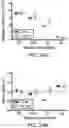 Fig. 26 - Methods for treating microbial infections using caudovirales bacteriophages