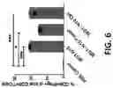 Fig. 07 - METHODS FOR INDUCING AN IMMUNE RESPONSE AGAINST NEOANTIGENS