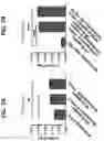 Fig. 08 - METHODS FOR INDUCING AN IMMUNE RESPONSE AGAINST NEOANTIGENS