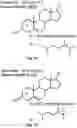 Fig. 03 - Anti-Psychotic Composition and Treatment Methods
