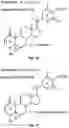 Fig. 04 - Anti-Psychotic Composition and Treatment Methods