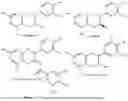 Fig. 02 - METHODS FOR CONTINUOUS EXTRACTION AND PURIFICATION OF A UNIQUE FLAVAN-3-OL EXTRACT FROM IMMATURE WHOLE GRAPE CLUSTERS AND COMPOSITIONS THEREOF