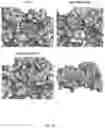 Fig. 13 - Inhibitors for proliferating cell nuclear antigen and uses