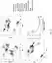 Fig. 16 - Inhibitors for proliferating cell nuclear antigen and uses