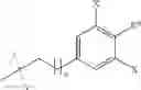 Fig. 24 - Inhibitors for proliferating cell nuclear antigen and uses