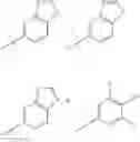 Fig. 27 - Inhibitors for proliferating cell nuclear antigen and uses