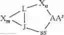 Fig. 40 - Di-sulfide containing cell penetrating peptides and methods of making and using thereof