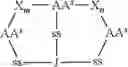 Fig. 48 - Di-sulfide containing cell penetrating peptides and methods of making and using thereof