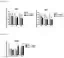 Fig. 02 - Appetite suppression with pharmaceutical compositions containing biglycan as an active ingredient