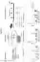 Fig. 03 - NEUTRALIZING VACCINES AGAINST HUMAN CORONAVIRUS