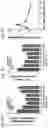 Fig. 04 - Modulation of tumor immunity by protein-mediated Odelivery