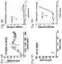 Fig. 05 - Modulation of tumor immunity by protein-mediated Odelivery