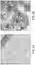 Fig. 05 - Sustained release formulations using non-aqueous membrane emulsification