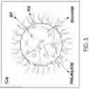 Fig. 08 - Sustained release formulations using non-aqueous membrane emulsification