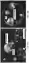 Fig. 09 - Sustained release formulations using non-aqueous membrane emulsification