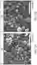 Fig. 15 - Sustained release formulations using non-aqueous membrane emulsification