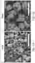 Fig. 16 - Sustained release formulations using non-aqueous membrane emulsification
