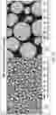 Fig. 22 - Sustained release formulations using non-aqueous membrane emulsification