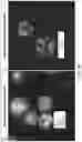 Fig. 24 - Sustained release formulations using non-aqueous membrane emulsification