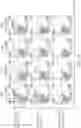 Fig. 02 - Binding proteins specific for RAS neoantigens and uses thereof