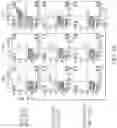 Fig. 03 - Binding proteins specific for RAS neoantigens and uses thereof