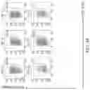 Fig. 06 - Binding proteins specific for RAS neoantigens and uses thereof