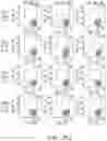 Fig. 101 - Binding proteins specific for RAS neoantigens and uses thereof