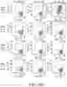 Fig. 102 - Binding proteins specific for RAS neoantigens and uses thereof
