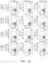 Fig. 103 - Binding proteins specific for RAS neoantigens and uses thereof