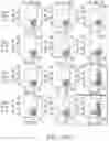 Fig. 104 - Binding proteins specific for RAS neoantigens and uses thereof