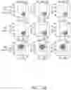 Fig. 105 - Binding proteins specific for RAS neoantigens and uses thereof