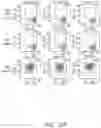 Fig. 106 - Binding proteins specific for RAS neoantigens and uses thereof