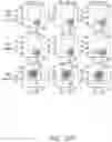 Fig. 108 - Binding proteins specific for RAS neoantigens and uses thereof