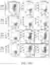 Fig. 109 - Binding proteins specific for RAS neoantigens and uses thereof