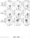 Fig. 111 - Binding proteins specific for RAS neoantigens and uses thereof